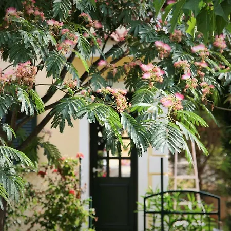 Liza's Villas Holiday home